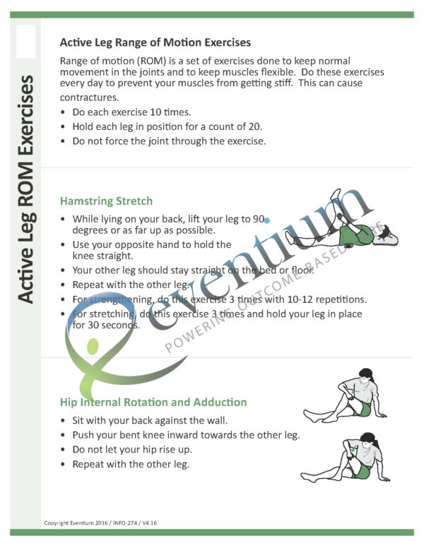 Active Leg ROM Exercises | Eventium